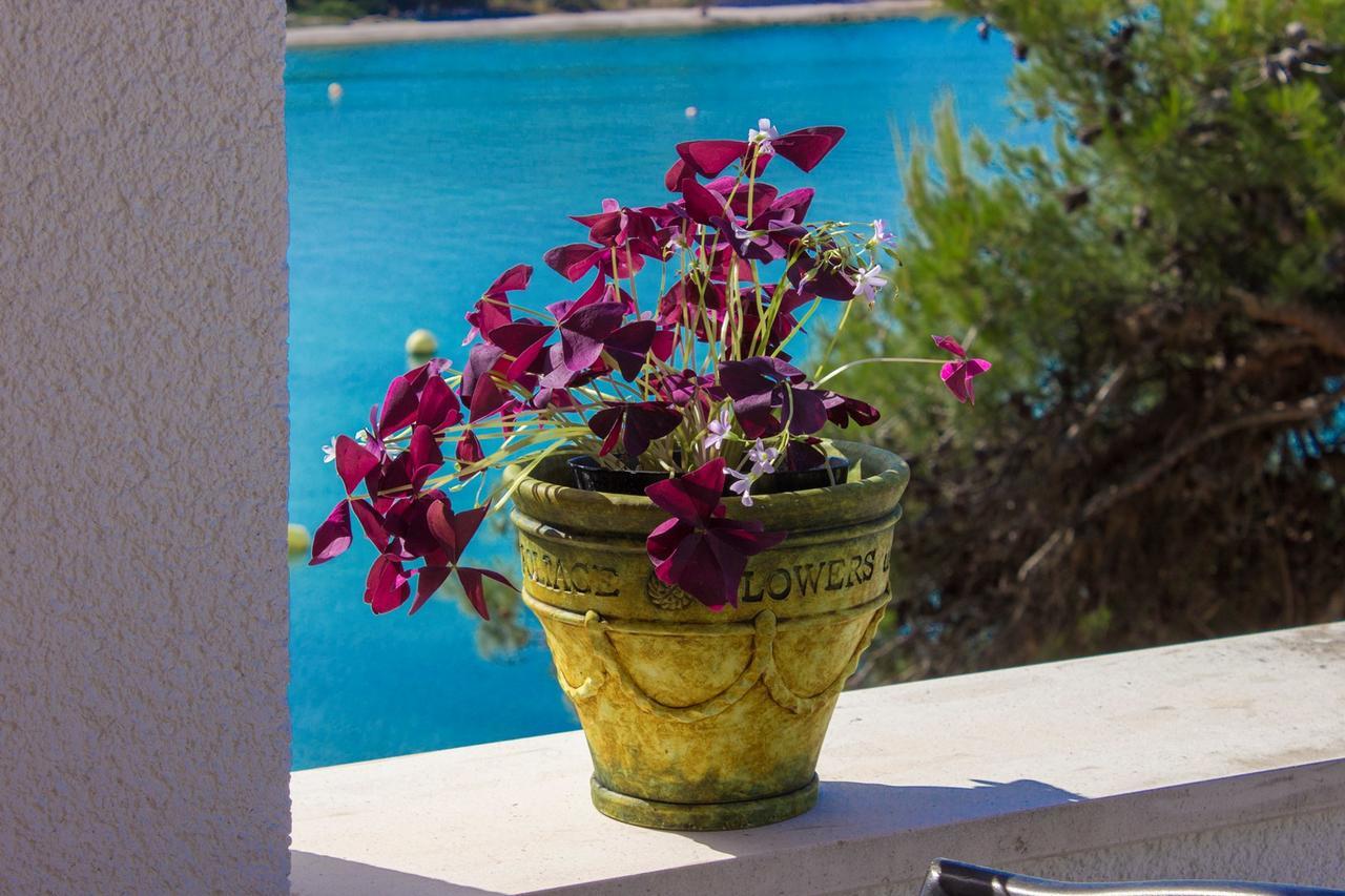 Sea Breeze - Front Sea Apartment Zaboric Dış mekan fotoğraf